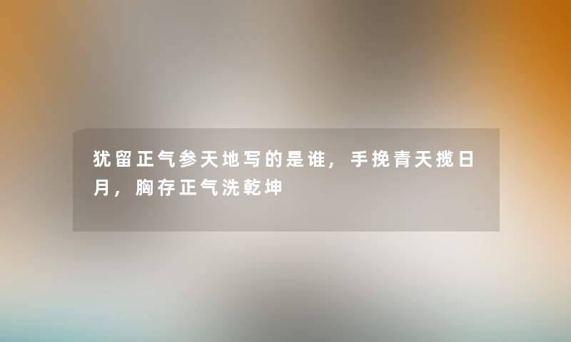 犹留正气参天地写的是谁,手挽青天揽日月,胸存正气洗乾坤