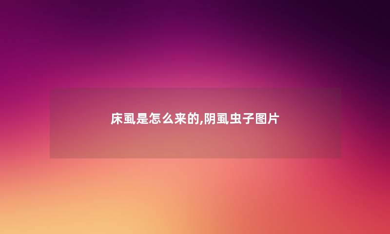 床虱是怎么来的,阴虱虫子图片