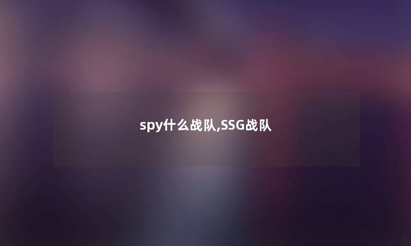 spy什么战队,SSG战队