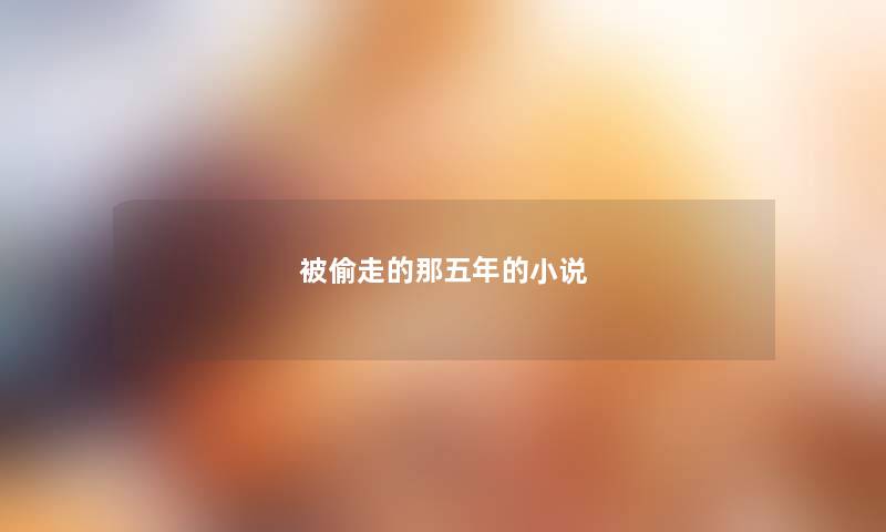 被偷走的那五年的小说