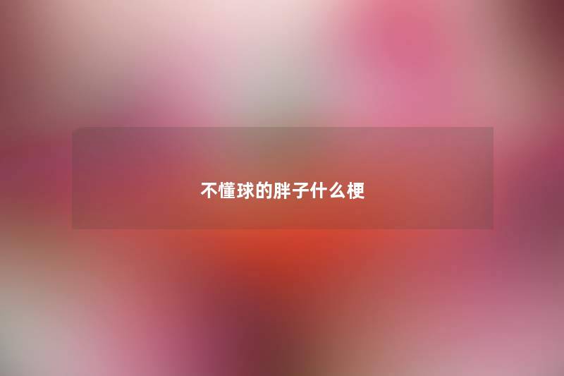 不懂球的胖子什么梗