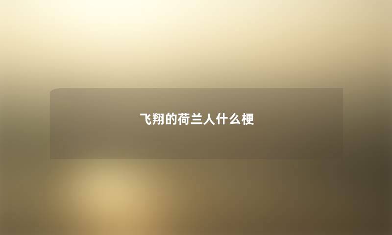 飞翔的荷兰人什么梗