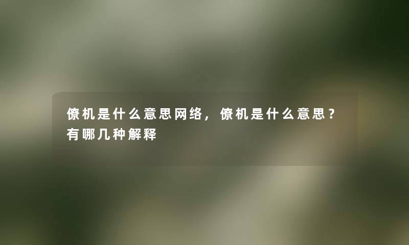 僚机是什么意思网络,僚机是什么意思？有哪几种解释