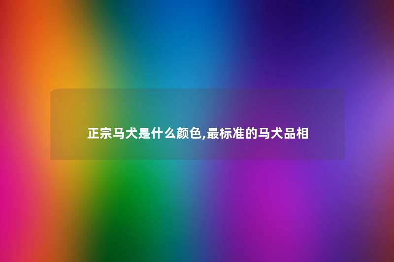 正宗马犬是什么颜色,标准的马犬品相