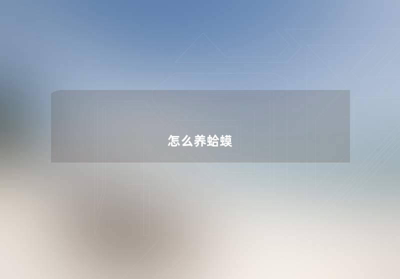 怎么养蛤蟆