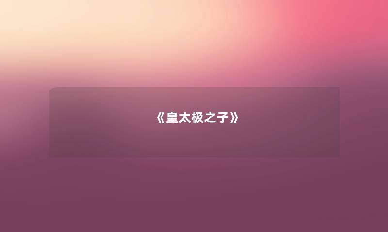 《皇太极之子》