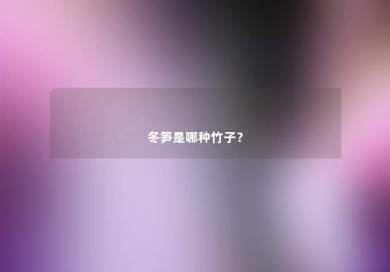 冬笋是哪种竹子？