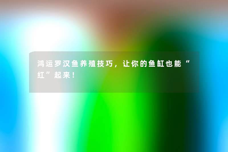 鸿运罗汉鱼养殖技巧，让你的鱼缸也能红起来！