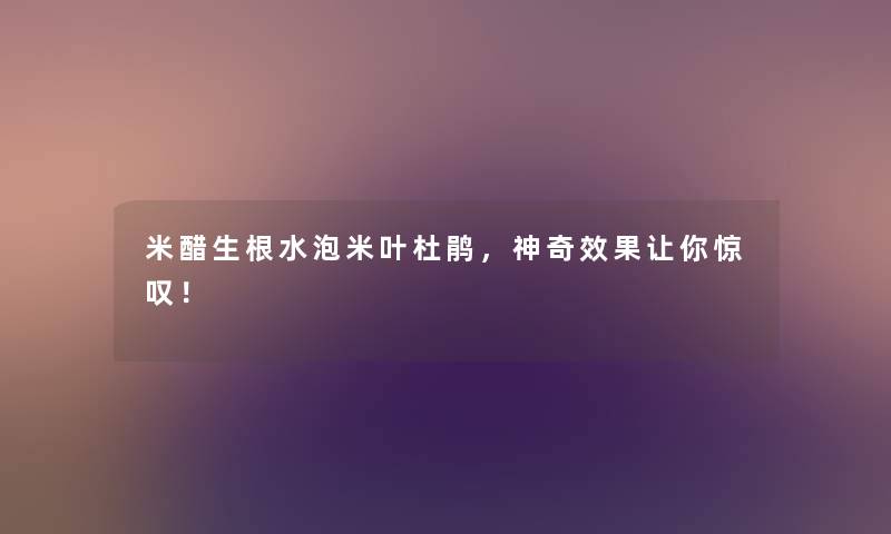 米醋生根水泡米叶杜鹃，神奇效果让你惊叹！
