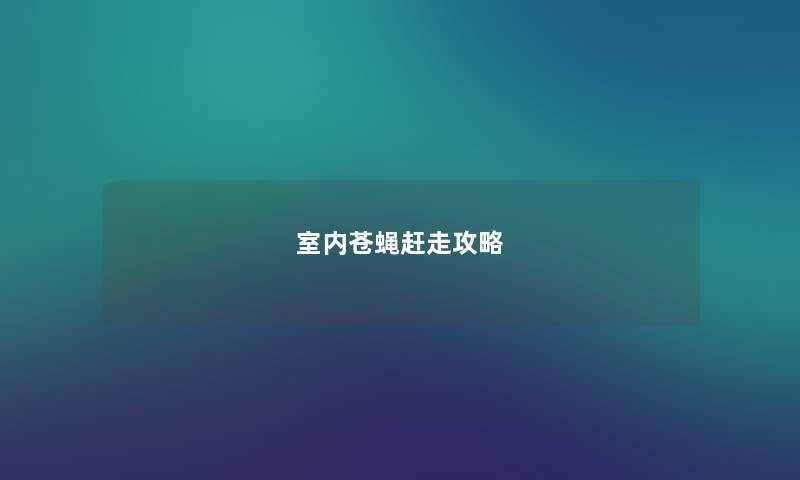 室内苍蝇赶走攻略