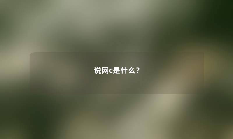说网c是什么？