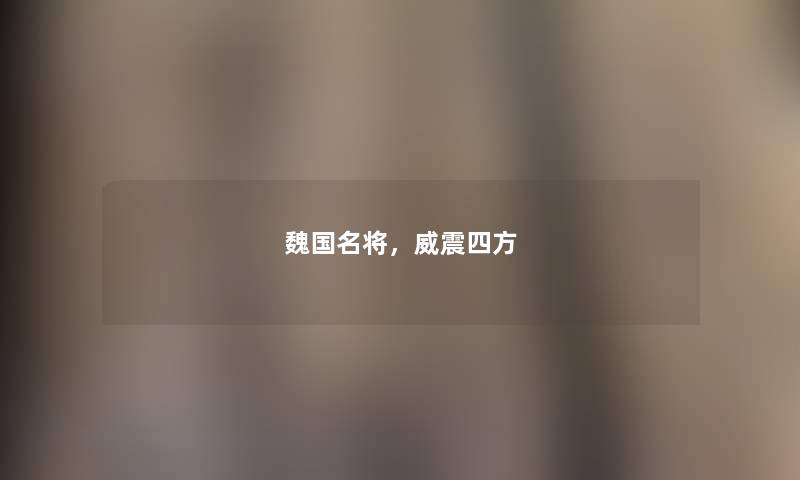 魏国名将，威震四方
