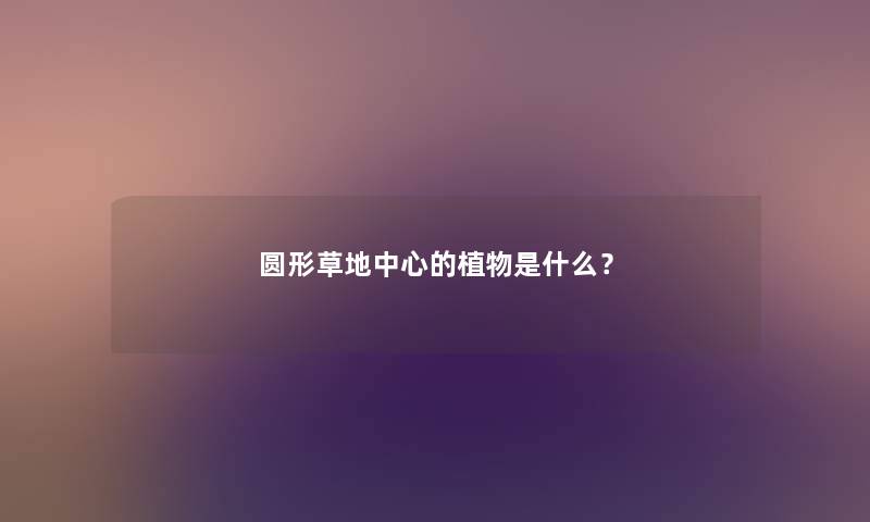 圆形草地中心的植物是什么？