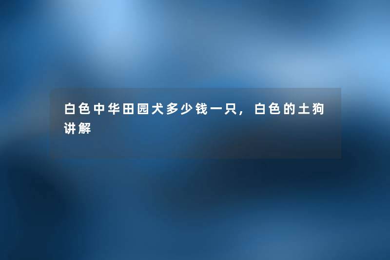 白色中华田园犬多少钱一只,白色的土狗讲解