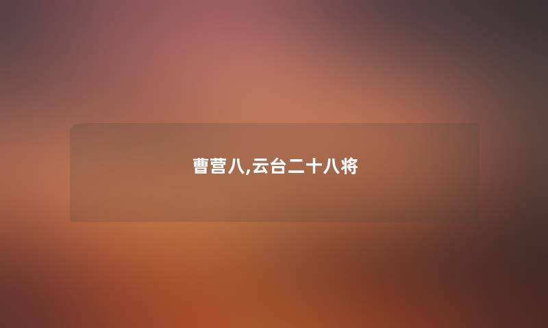 曹营八,云台二十八将