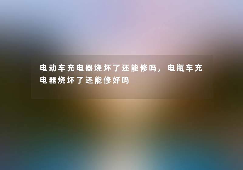 电动车充电器烧坏了还能修吗,电瓶车充电器烧坏了还能修好吗