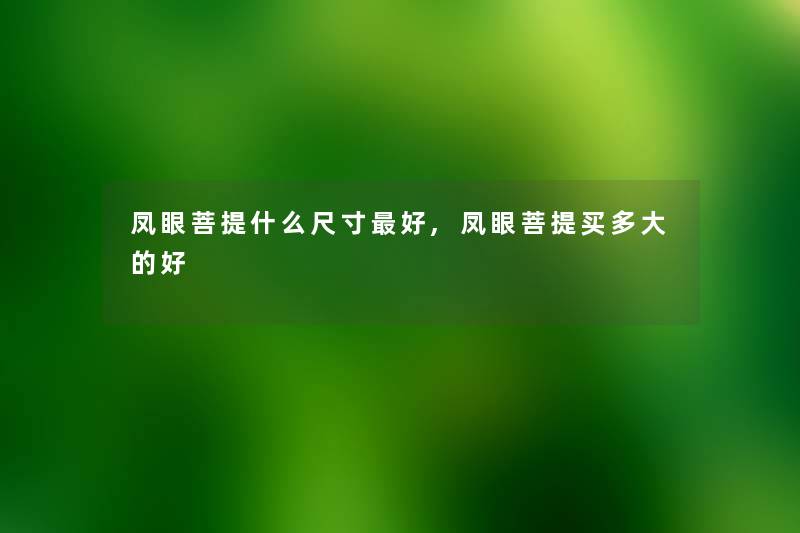 凤眼菩提什么尺寸好,凤眼菩提买多大的好