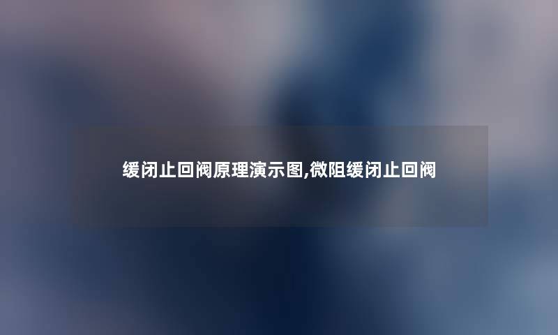 缓闭止回阀原理演示图,微阻缓闭止回阀