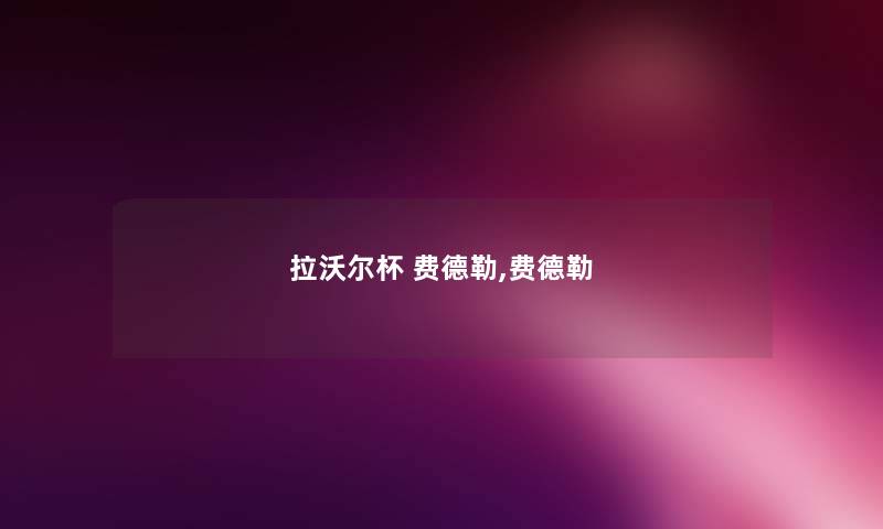 拉沃尔杯 费德勒,费德勒