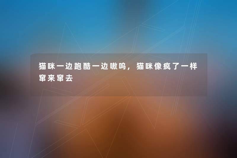猫咪一边跑酷一边嗷呜,猫咪像疯了一样窜来窜去