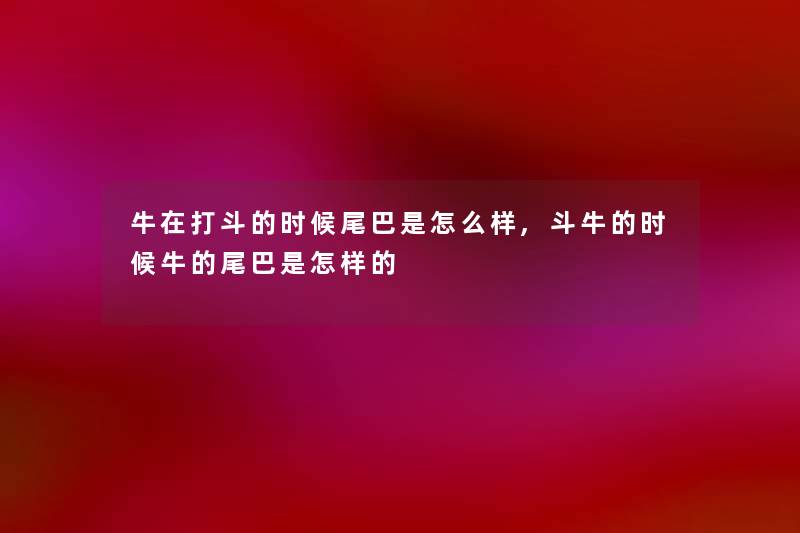 牛在打斗的时候尾巴是怎么样,斗牛的时候牛的尾巴是怎样的