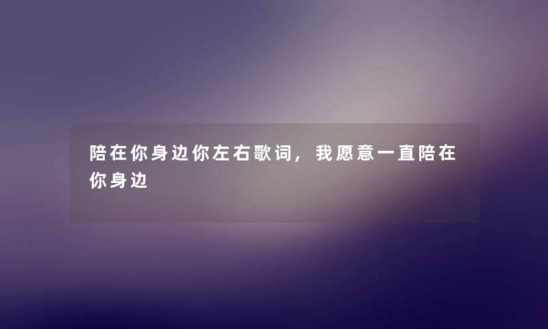 陪在你身边你左右歌词,我愿意一直陪在你身边