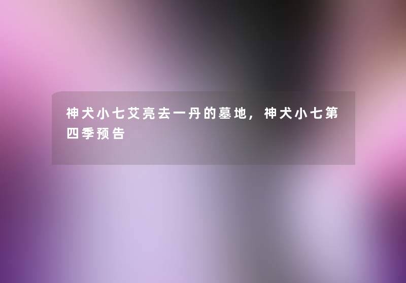 神犬小七艾亮去一丹的墓地,神犬小七第四季预告