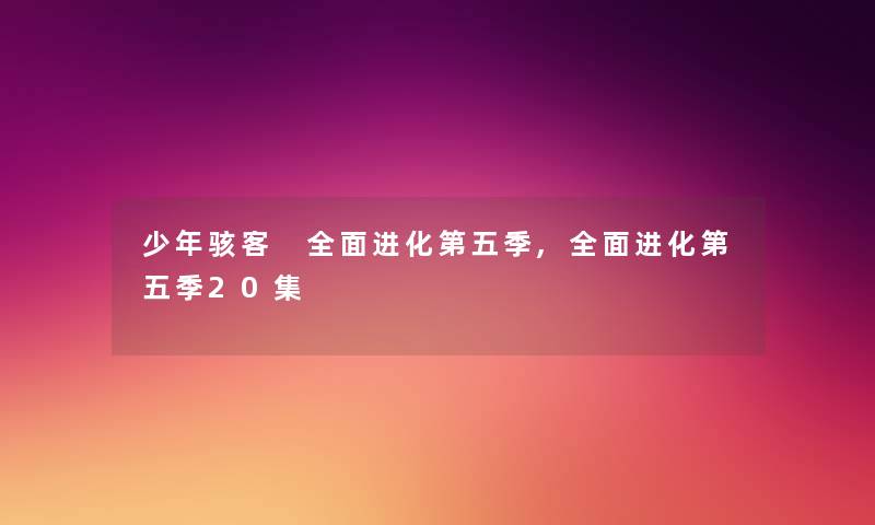 少年骇客 全面进化第五季,全面进化第五季20集