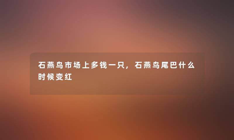 石燕鸟市场上多钱一只,石燕鸟尾巴什么时候变红
