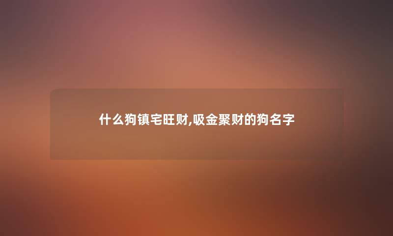 什么狗镇宅旺财,吸金聚财的狗名字