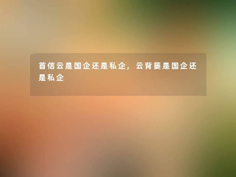 首信云是国企还是私企,云背篓是国企还是私企
