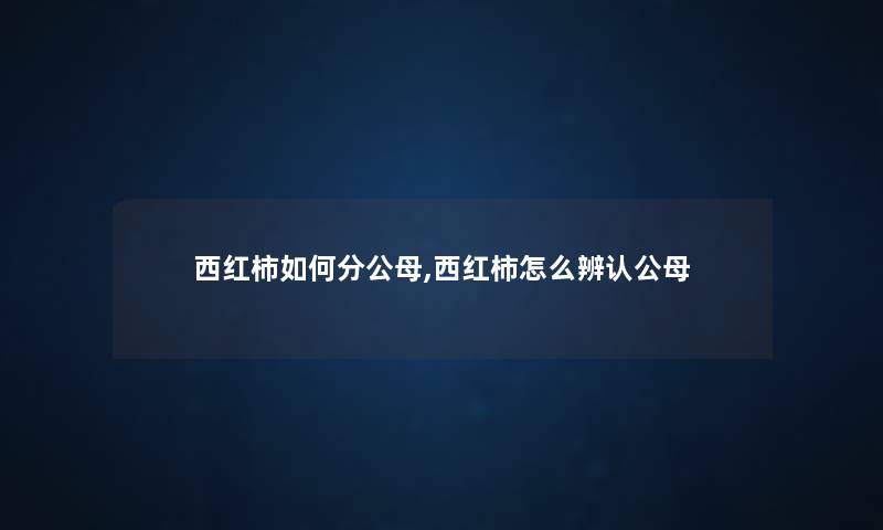 西红柿如何分公母,西红柿怎么辨认公母