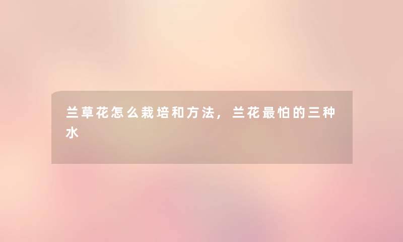 兰草花怎么栽培和方法,兰花怕的三种水