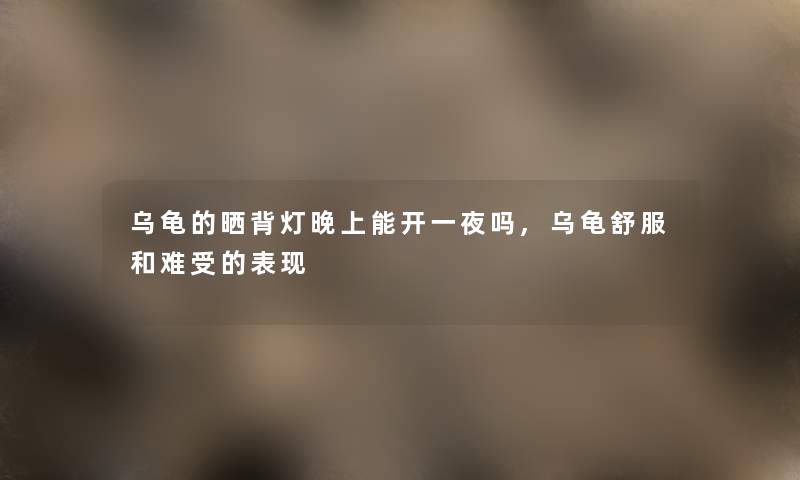 乌龟的晒背灯晚上能开一夜吗,乌龟舒服和难受的表现