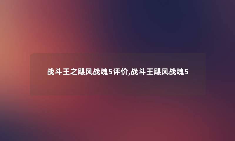 战斗王之飓风战魂5评价,战斗王飓风战魂5