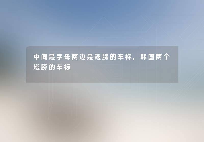 中间是字母两边是翅膀的车标,韩国两个翅膀的车标