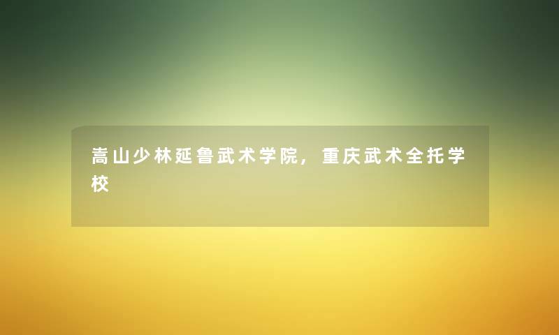 嵩山少林延鲁武术学院,重庆武术全托学校