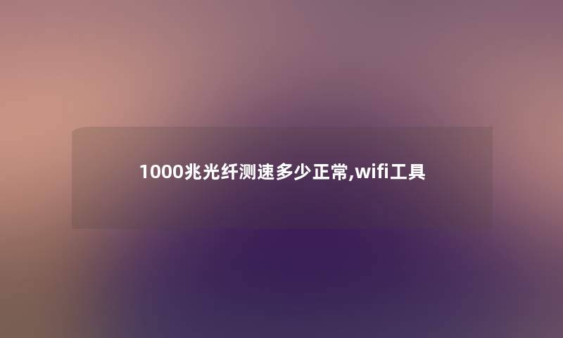 1000兆光纤测速多少正常,wifi工具