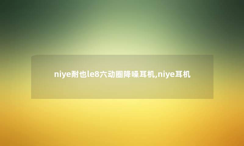 niye耐也le8六动圈降噪耳机,niye耳机