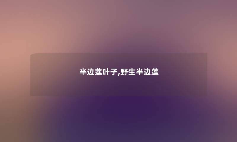 半边莲叶子,野生半边莲