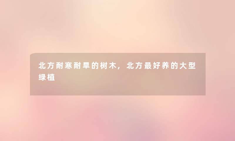 北方耐寒耐旱的树木,北方好养的大型绿植