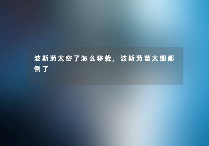 波斯菊太密了怎么移栽,波斯菊苗太细都倒了