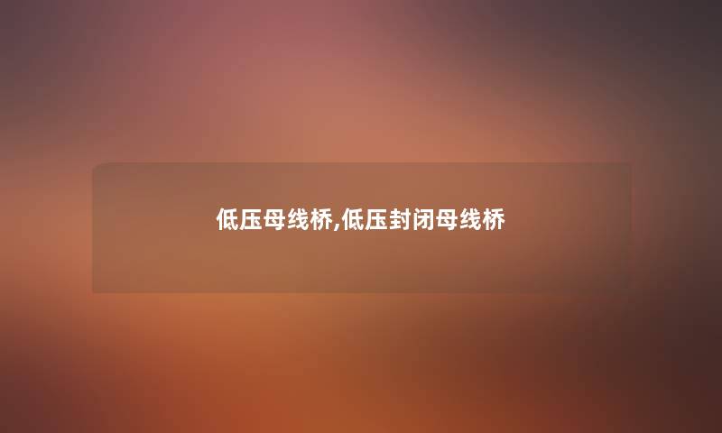 低压母线桥,低压封闭母线桥