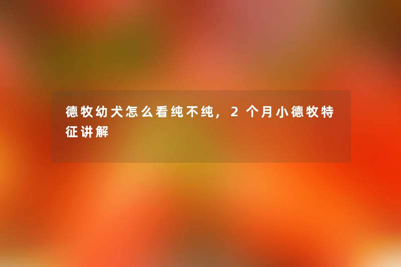 德牧幼犬怎么看纯不纯,2个月小德牧特征讲解