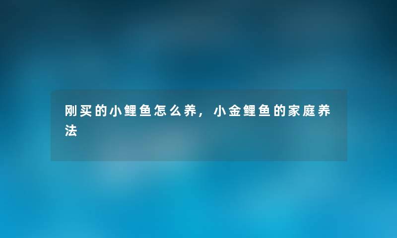 刚买的小鲤鱼怎么养,小金鲤鱼的家庭养法