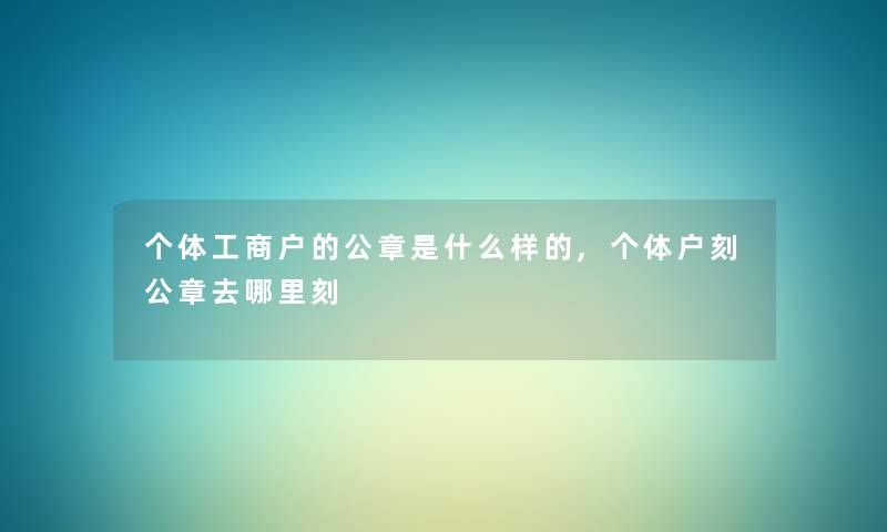 个体工商户的公章是什么样的,个体户刻公章去哪里刻