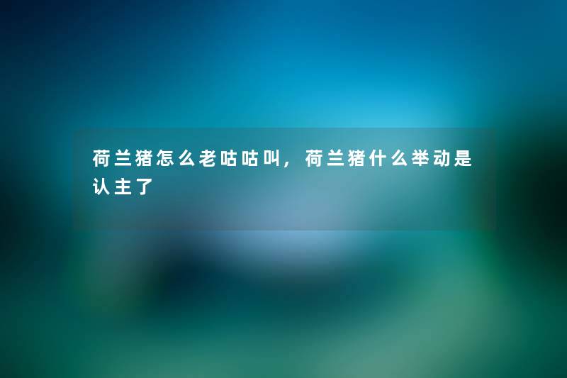 荷兰猪怎么老咕咕叫,荷兰猪什么举动是认主了