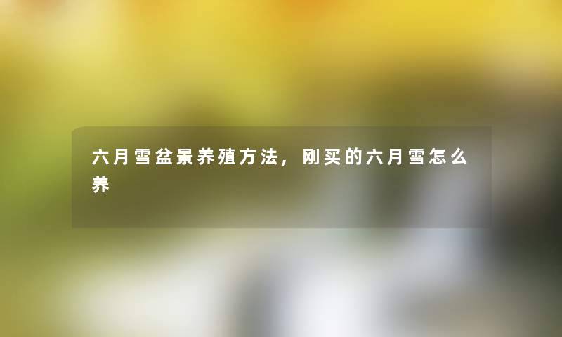 六月雪盆景养殖方法,刚买的六月雪怎么养