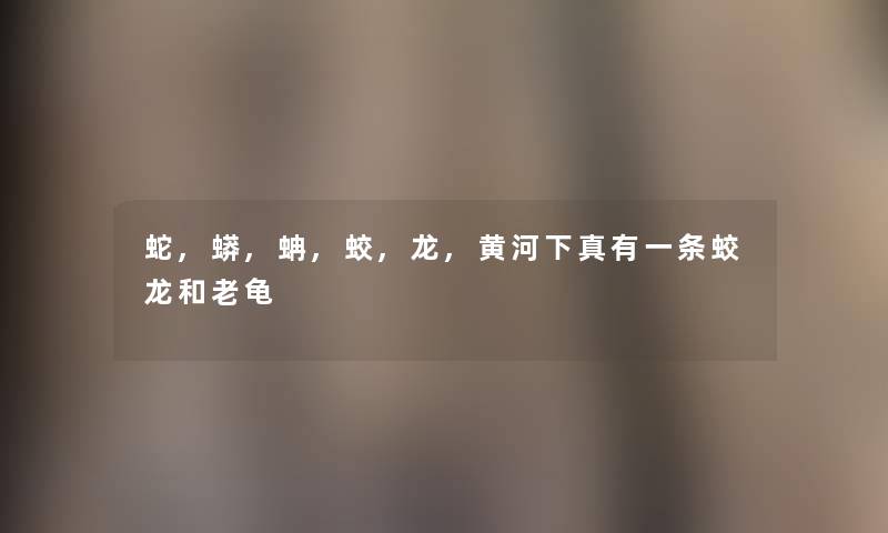 蛇,蟒,蚺,蛟,龙,黄河下真有一条蛟龙和老龟