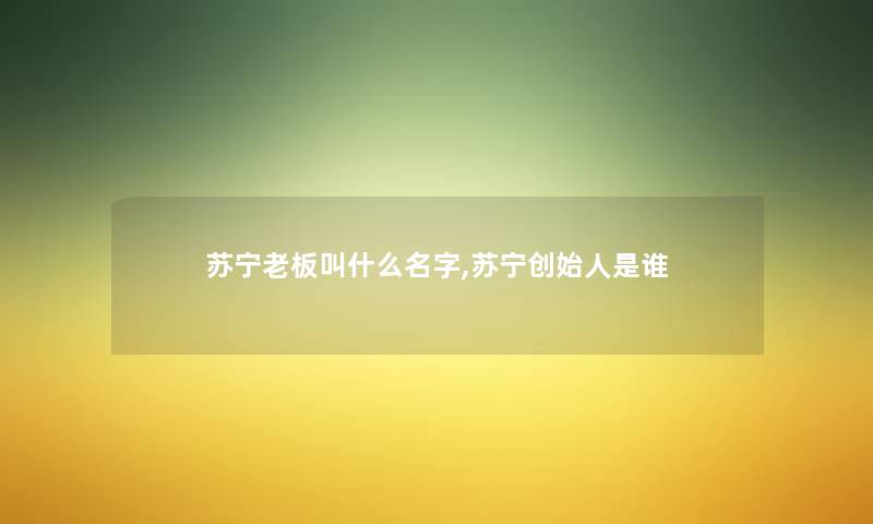 苏宁老板叫什么名字,苏宁创始人是谁